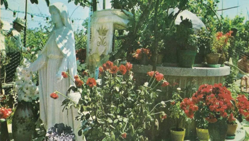 Pellegrinaggio a S. Damiano, Madonna delle rose