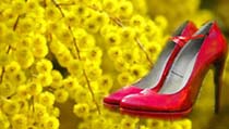 8 marzo: festa della donna