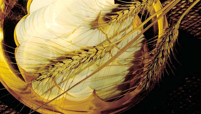 Eucaristia: il pane della vita e dell'amore